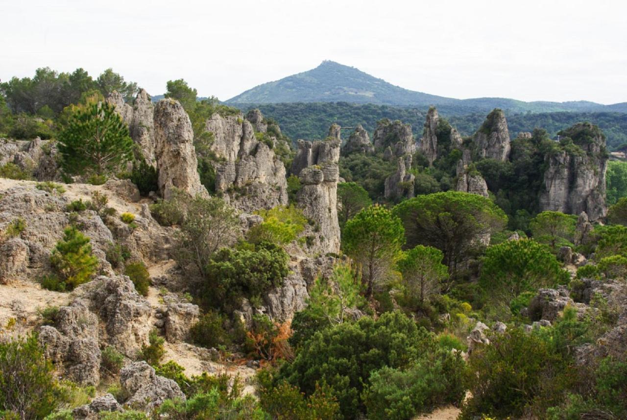 Saëns 6-T3 avec garage privé optionnel-Centre historique et plages à 16km ! Béziers Esterno foto